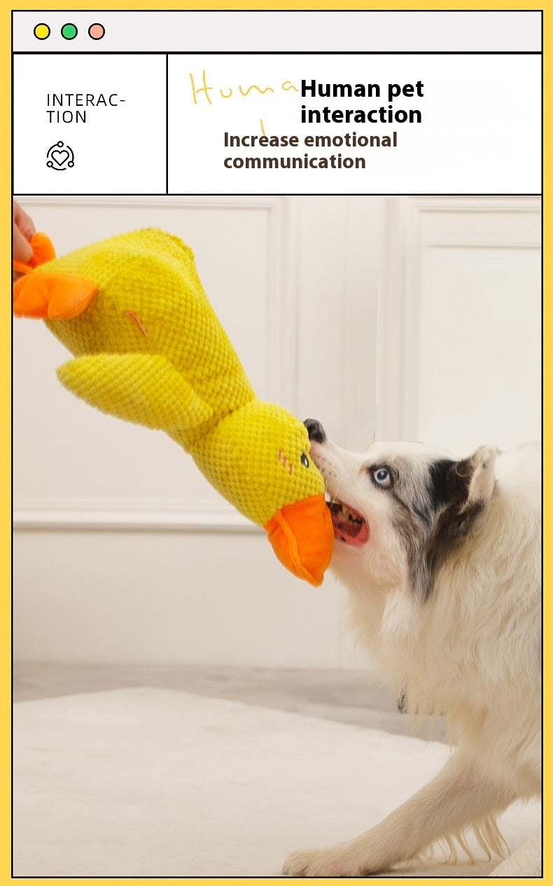 ¡Tu perro merece lo mejor!  Este juguete con sonido mantendrá su curiosidad activa. Adquiere el tuyo ahora con promoción 2x1 y envío gratis.